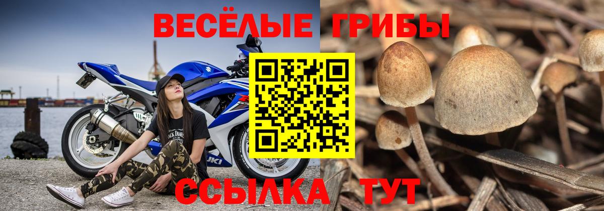 Галлюциногенные грибы MAGIC MUSHROOMS Семилуки
